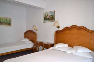 Отель Hotel Meteor Cluj Клуж-Напока Трехместный номер-3